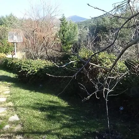 κατοικία με θέα στο δάσος