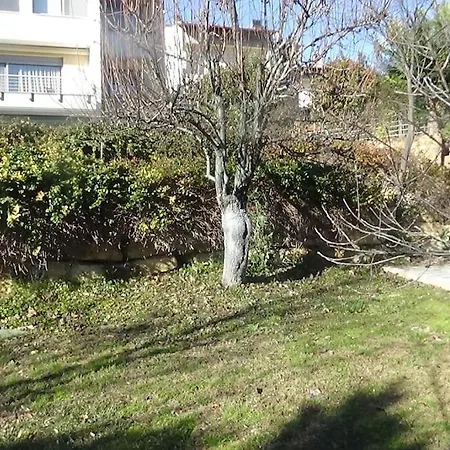 Villa κατοικία με θέα στο δάσος