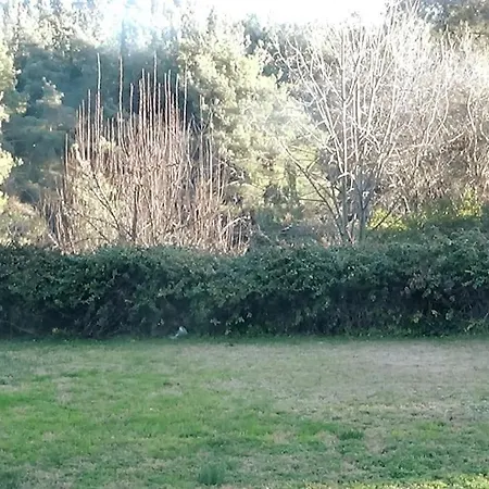 κατοικία με θέα στο δάσος Thessaloniki