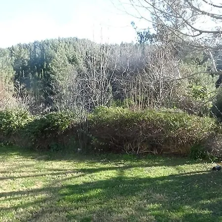Villa κατοικία με θέα στο δάσος